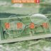 등불