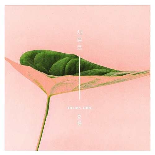 사르르 이미지
