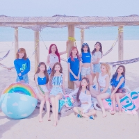 소속사별로 인원수 별로 그룹 나눠보기 | 인스티즈