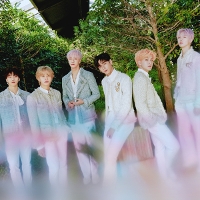 소속사별로 인원수 별로 그룹 나눠보기 | 인스티즈