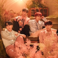 소속사별로 인원수 별로 그룹 나눠보기 | 인스티즈