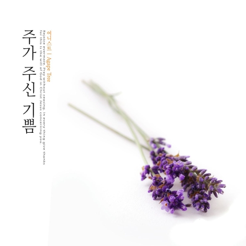 앨범 정보>멜론 주가 주신 기쁨 - 어니스트 (Honest)