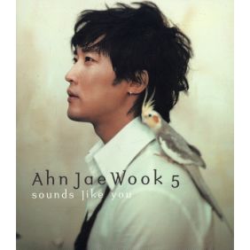 앨범사진