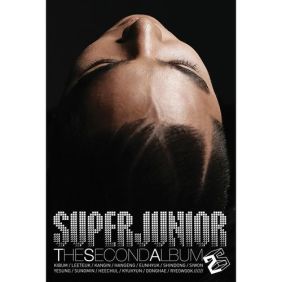 앨범사진