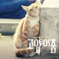 고양이 춤 OST - 페이지 이동