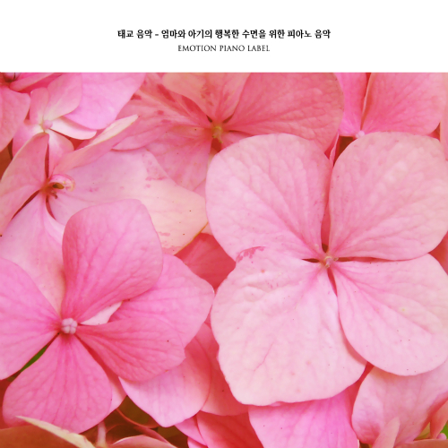 풀빛소리 이미지