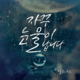 앨범사진