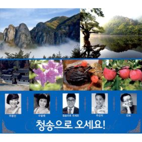 앨범사진