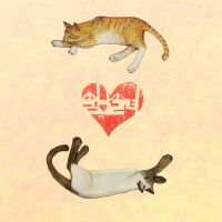 솔남솔녀