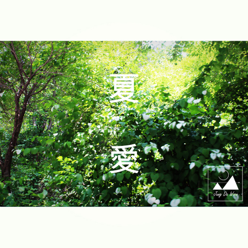 앨범 정보>멜론 여름애 - 정다운