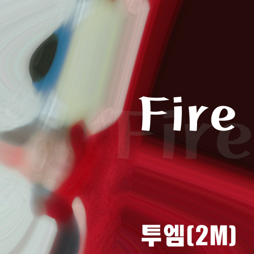 앨범 정보>멜론 Fire - 투엠