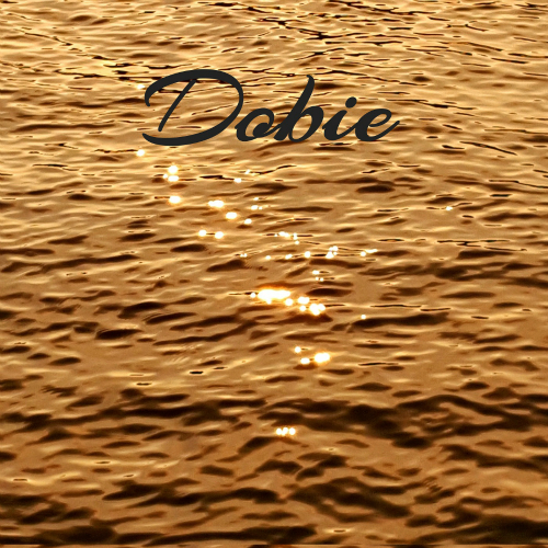앨범 정보>멜론 금빛바다 - 도비 (Dobie)