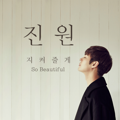 곡 정보>멜론 So Beautiful - 진원