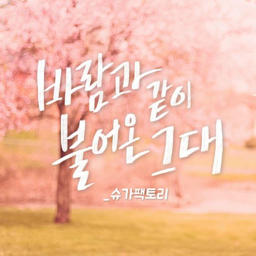 앨범 정보>멜론 바람과 같이 불어온 그대 - 슈가팩토리