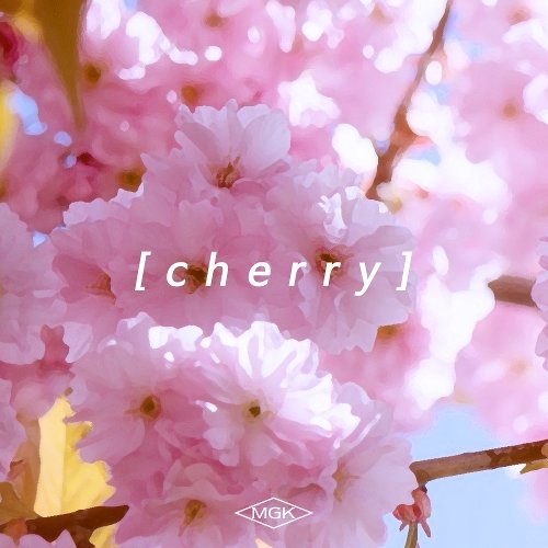나우플레잉 상세>멜론 최 하 늘 (C H E R R Y)
