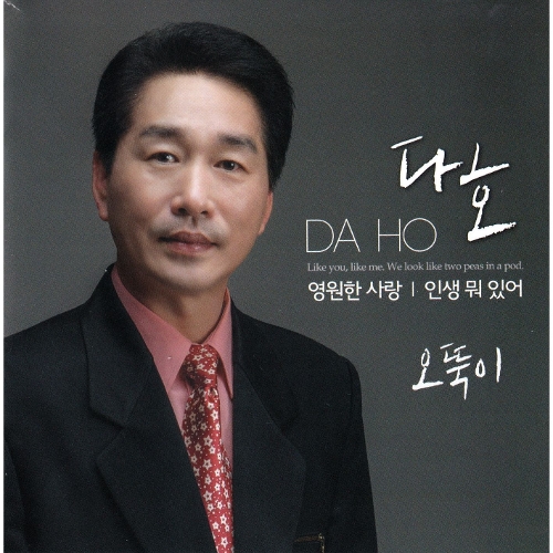 앨범 정보>멜론 오뚝이/영원한 사랑/인생 뭐 있어 - 다호