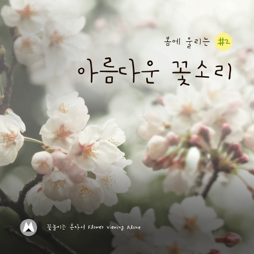앨범 정보>멜론 봄에 울리는 아름다운 꽃소리 #2 - 꽃놀이는 혼자서 (Flower Viewing alone)