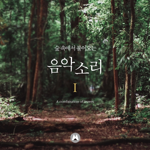 나뭇잎소리 이미지