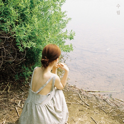 수림 이미지