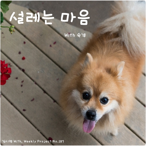 숙경이네 이미지