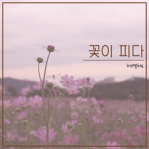 꽃이피다 이미지