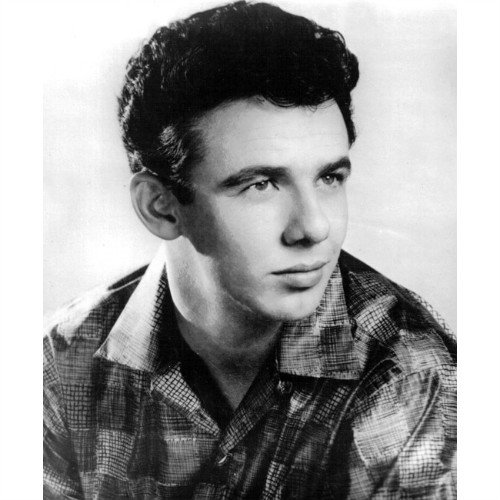Dale Hawkins