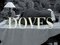 DOVES (Teaser)