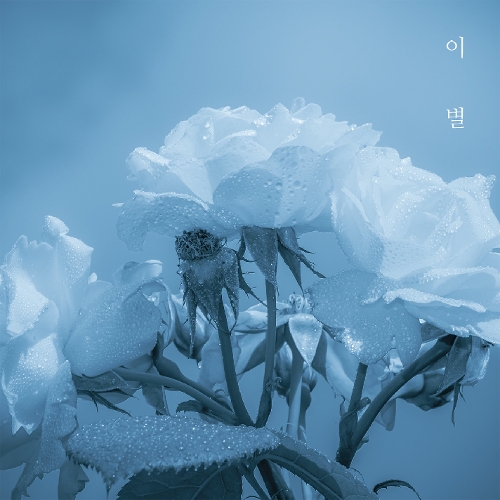 영킴 이미지