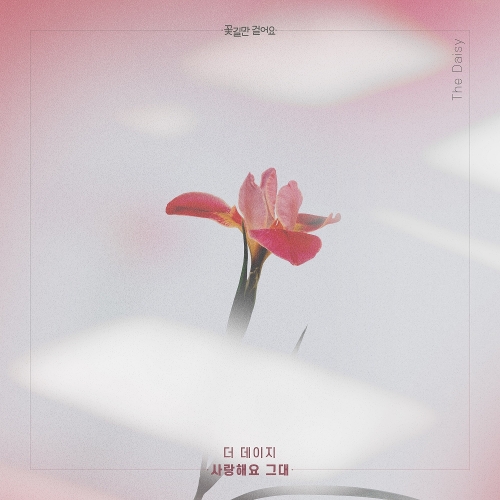 더 데이지 이미지