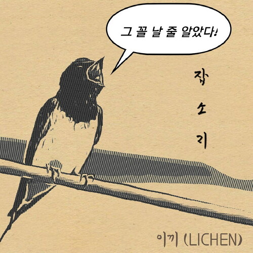 정보 이미지