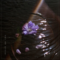 사랑은 내게 비극이어라