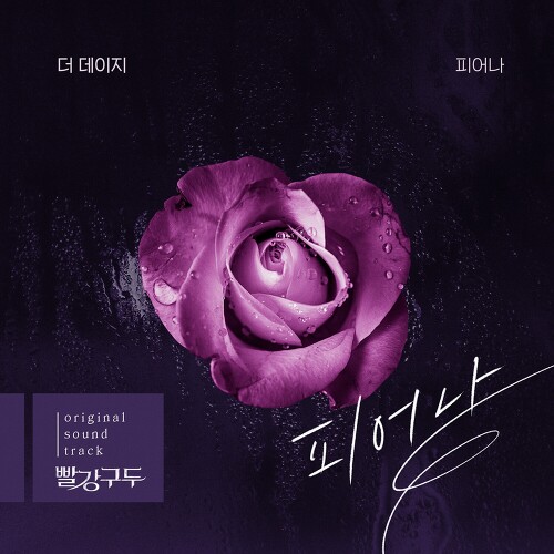 데이지 뮤직 이미지