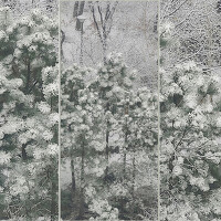 우린 마를 리 없었지