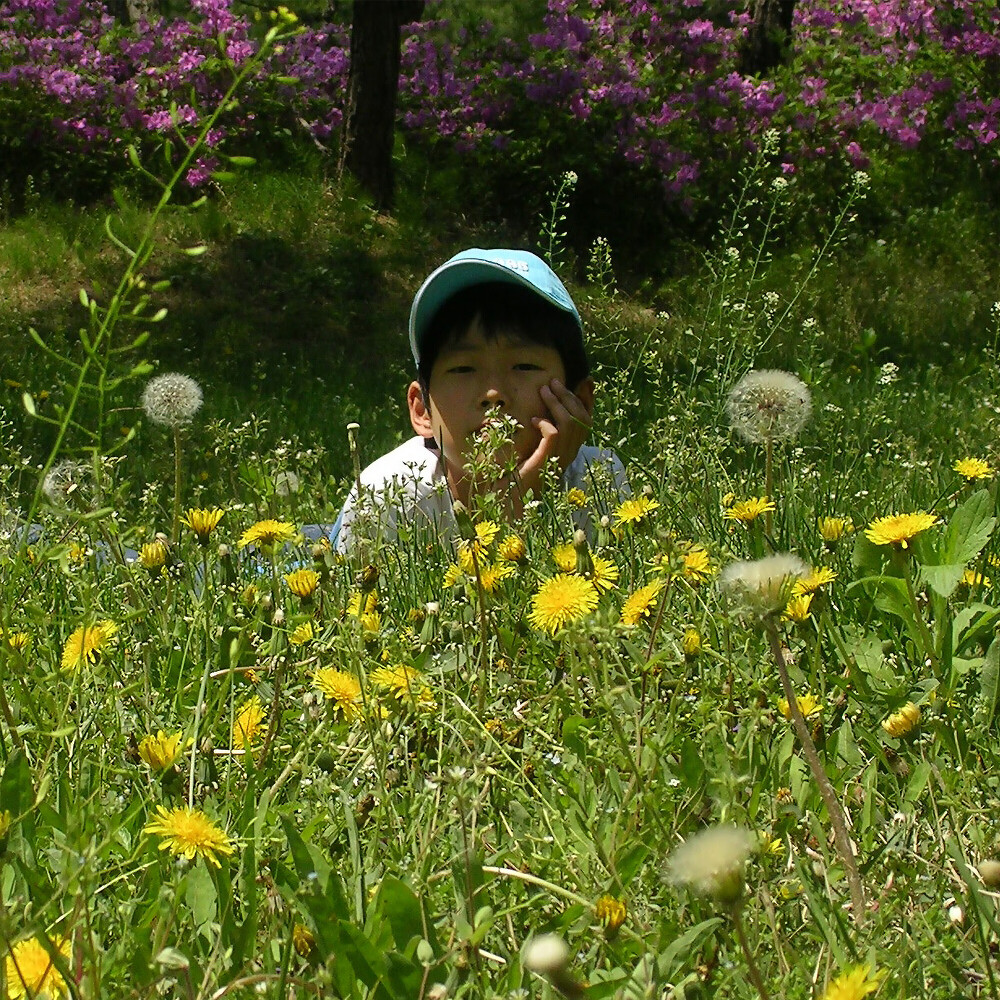 나 혼자 남은 지구 앨범 커버