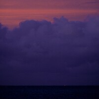 불안향[不安向]