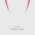 BORN PINK - 페이지 이동