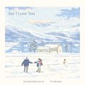 Say I Love You