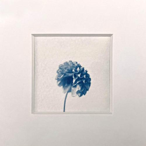 앨범 정보>멜론 Friede - Linda Rum