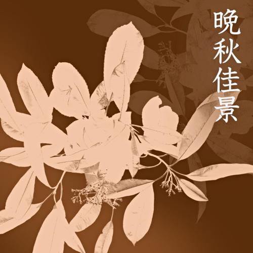 앨범 정보>멜론 만추가경 - 한아름
