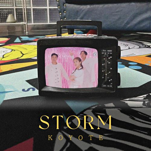 코요태-Storm