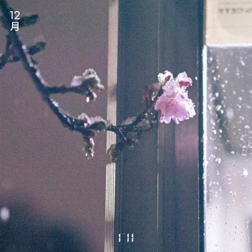 아일(I'LL) 이미지