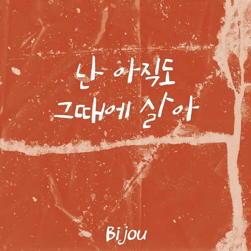 비쥬 이미지