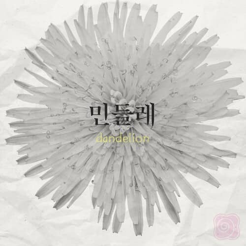 리틀스톤 이미지