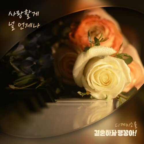 디케이 이미지
