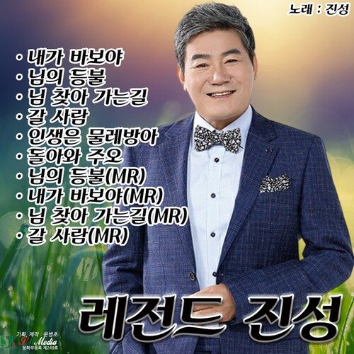 곡 정보>멜론 님 찾아 가는길 (Cover Ver.) - 진성
