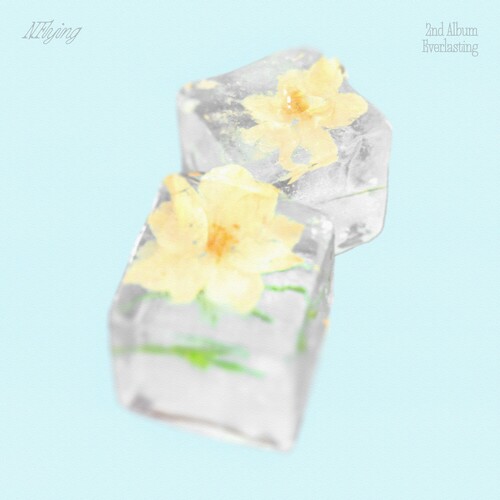 Image Cover