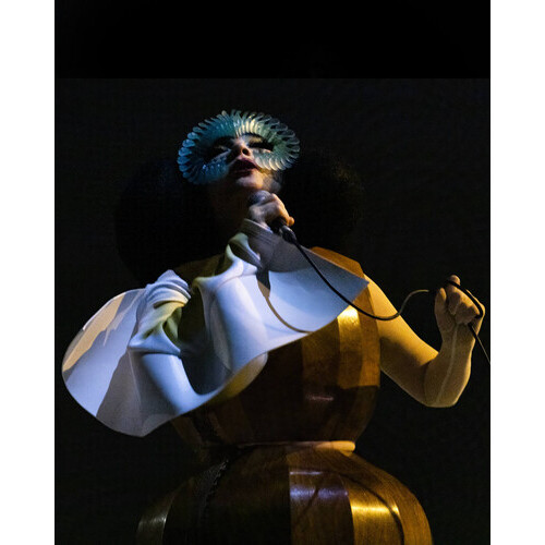 Bjork