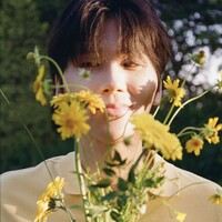 Neat (니트)