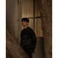 노태현