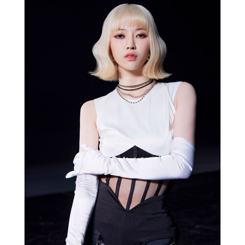 아티스트 채널>멜론 로하 (LOHA)